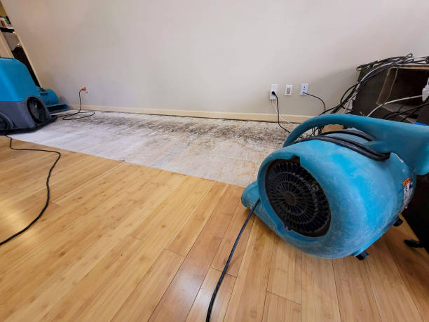 Professional Sewage Cleanup technician working in Coaldale, CO